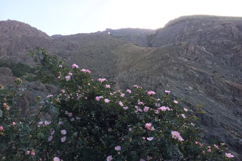 دورنمای برج کلکچال